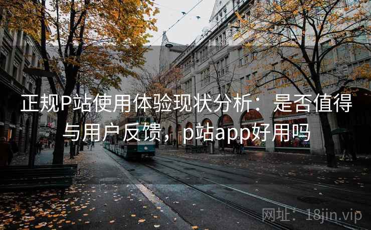 正规P站使用体验现状分析：是否值得与用户反馈，p站app好用吗