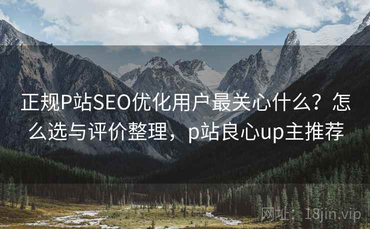 正规P站SEO优化用户最关心什么？怎么选与评价整理，p站良心up主推荐
