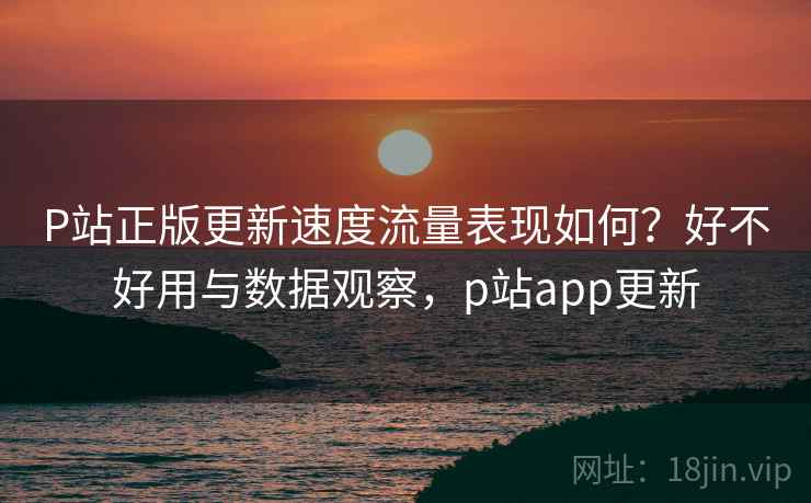 P站正版更新速度流量表现如何？好不好用与数据观察，p站app更新