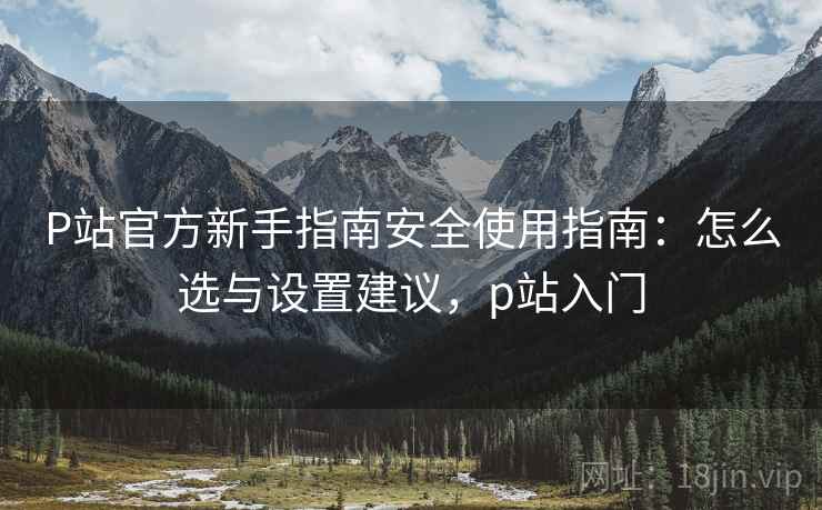 P站官方新手指南安全使用指南：怎么选与设置建议，p站入门