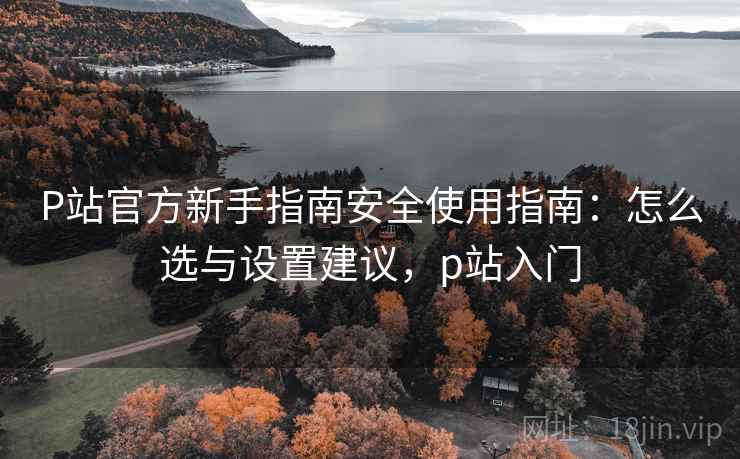 P站官方新手指南安全使用指南：怎么选与设置建议，p站入门