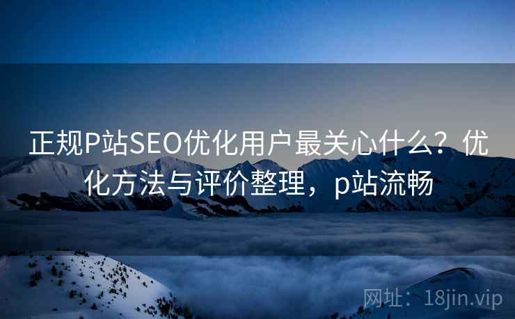 正规P站SEO优化用户最关心什么？优化方法与评价整理，p站流畅