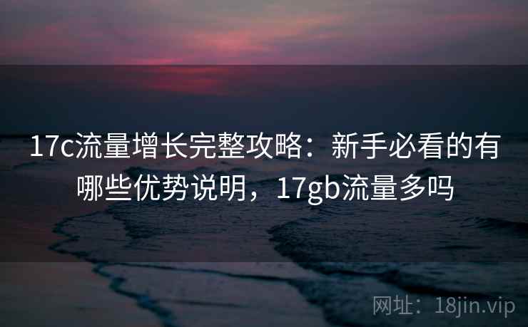 17c流量增长完整攻略：新手必看的有哪些优势说明，17gb流量多吗
