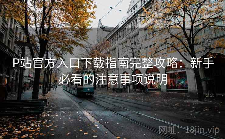 P站官方入口下载指南完整攻略：新手必看的注意事项说明