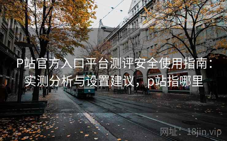 P站官方入口平台测评安全使用指南：实测分析与设置建议，p站指哪里