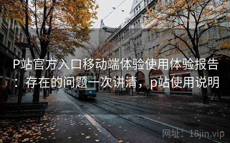 P站官方入口移动端体验使用体验报告：存在的问题一次讲清，p站使用说明