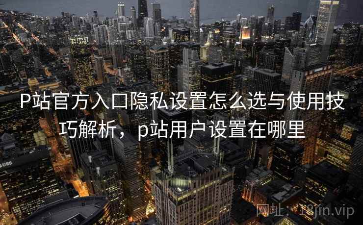 P站官方入口隐私设置怎么选与使用技巧解析，p站用户设置在哪里