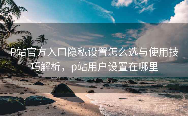 P站官方入口隐私设置怎么选与使用技巧解析,p站用户设置在哪里 P站官方入口隐私设置怎么选与使用技巧解析,p站用户设置在哪里