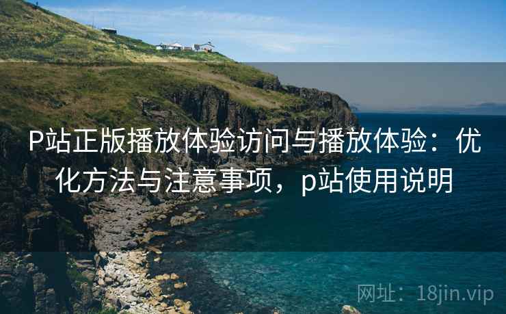 P站正版播放体验访问与播放体验：优化方法与注意事项，p站使用说明