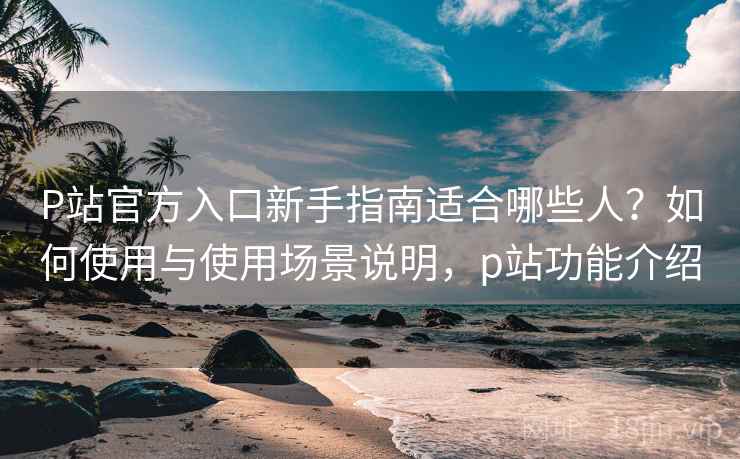 P站官方入口新手指南适合哪些人？如何使用与使用场景说明，p站功能介绍