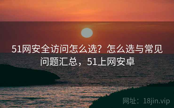 51网安全访问怎么选？怎么选与常见问题汇总，51上网安卓