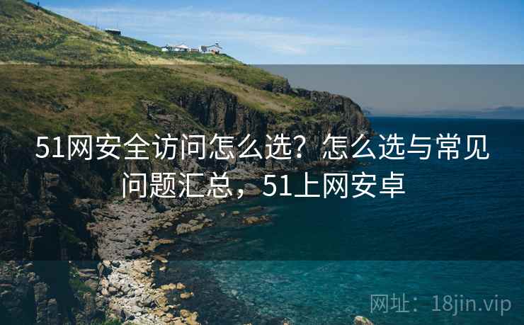 51网安全访问怎么选？怎么选与常见问题汇总，51上网安卓