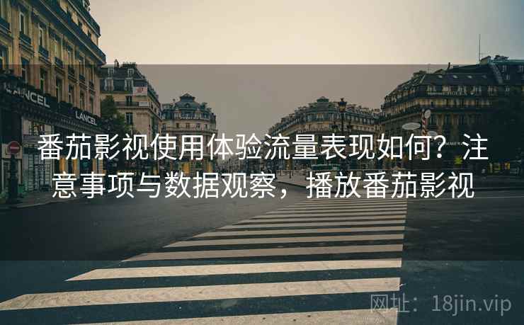 番茄影视使用体验流量表现如何?注意事项与数据观察,播放番茄影视 番茄影视使用体验流量表现如何?注意事项与数据观察,播放番茄影视