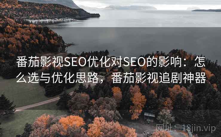 番茄影视SEO优化对SEO的影响：怎么选与优化思路，番茄影视追剧神器