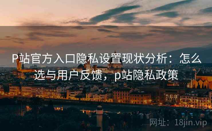 P站官方入口隐私设置现状分析：怎么选与用户反馈，p站隐私政策