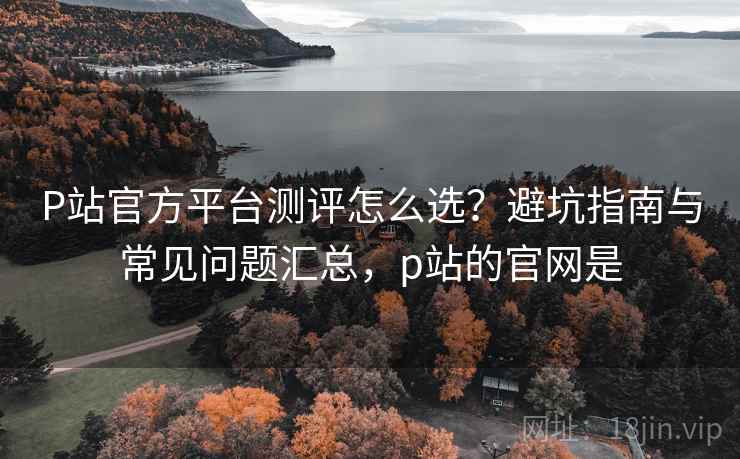 P站官方平台测评怎么选?避坑指南与常见问题汇总,p站的官网是 P站官方平台测评怎么选?避坑指南与常见问题汇总,p站的官网是