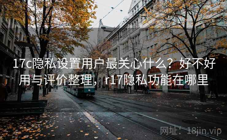 17c隐私设置用户最关心什么？好不好用与评价整理，r17隐私功能在哪里