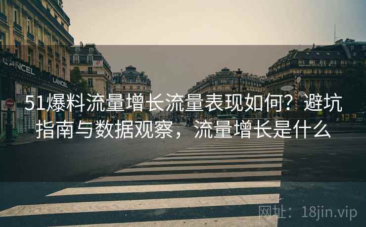51爆料流量增长流量表现如何？避坑指南与数据观察，流量增长是什么