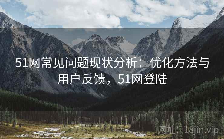 51网常见问题现状分析：优化方法与用户反馈，51网登陆