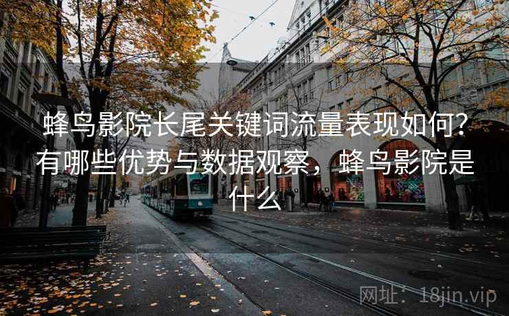 蜂鸟影院长尾关键词流量表现如何？有哪些优势与数据观察，蜂鸟影院是什么