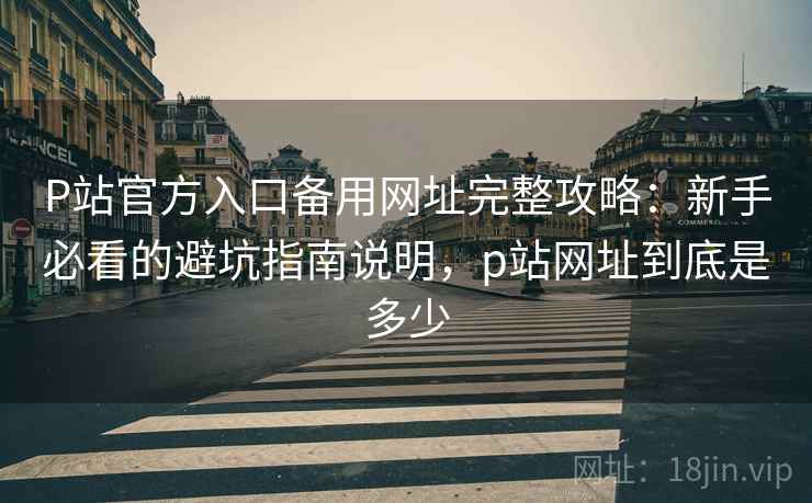 P站官方入口备用网址完整攻略：新手必看的避坑指南说明，p站网址到底是多少