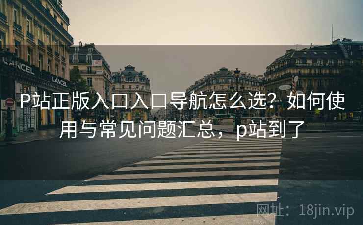P站正版入口入口导航怎么选？如何使用与常见问题汇总，p站到了