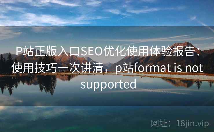 P站正版入口SEO优化使用体验报告：使用技巧一次讲清，p站format is not supported