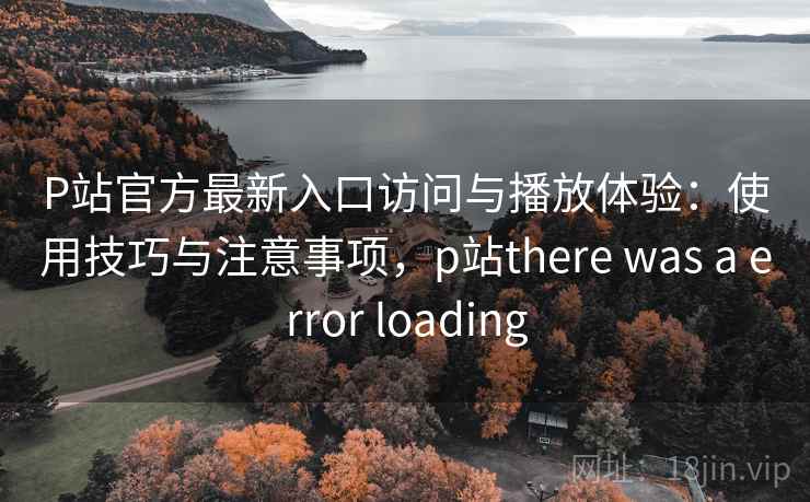 P站官方最新入口访问与播放体验：使用技巧与注意事项，p站there was a error loading
