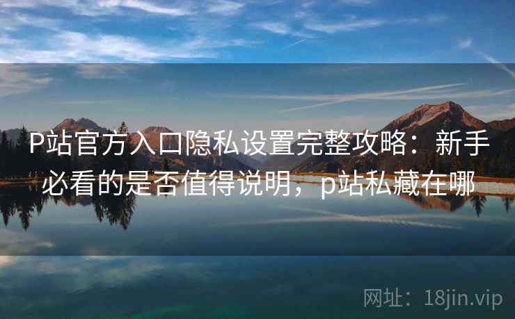 P站官方入口隐私设置完整攻略：新手必看的是否值得说明，p站私藏在哪