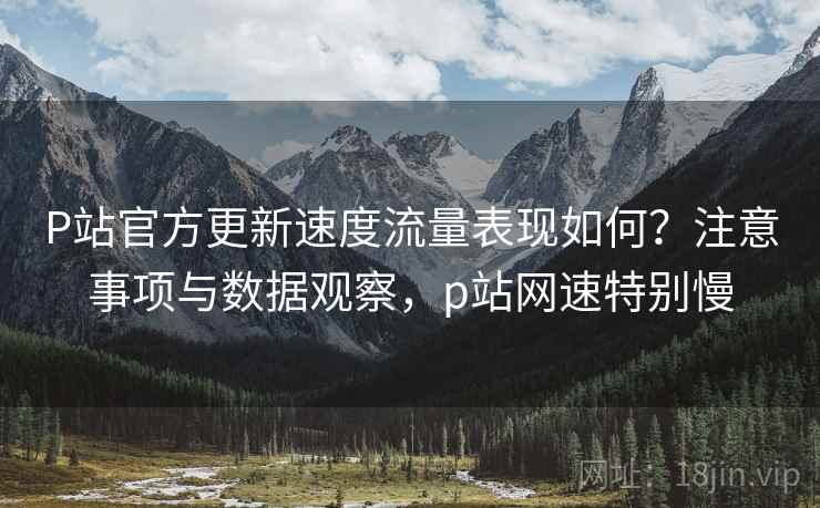 P站官方更新速度流量表现如何?注意事项与数据观察,p站网速特别慢 P站官方更新速度流量表现如何?注意事项与数据观察,p站网速特别慢