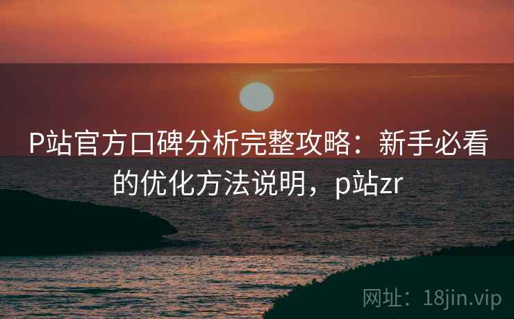 P站官方口碑分析完整攻略：新手必看的优化方法说明，p站zr