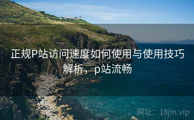 正规P站访问速度如何使用与使用技巧解析，p站流畅
