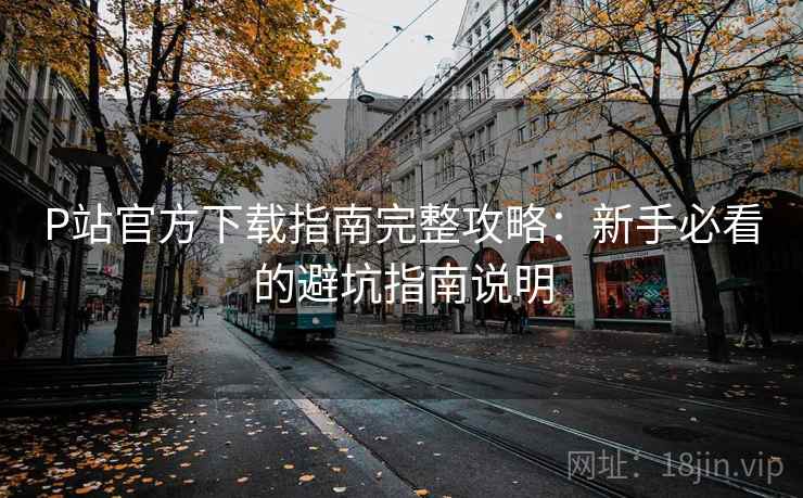 P站官方下载指南完整攻略：新手必看的避坑指南说明